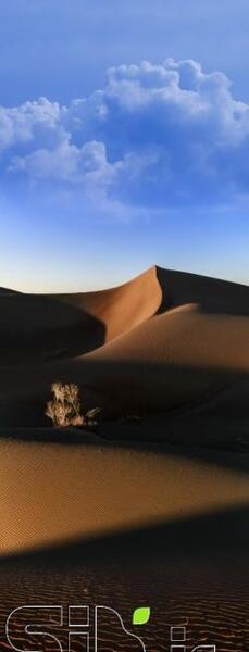 عکس سیاه سفید برج آزادی