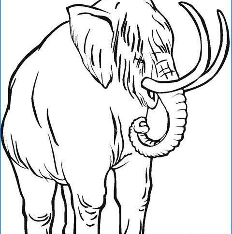 عکس نقاشی ماموت