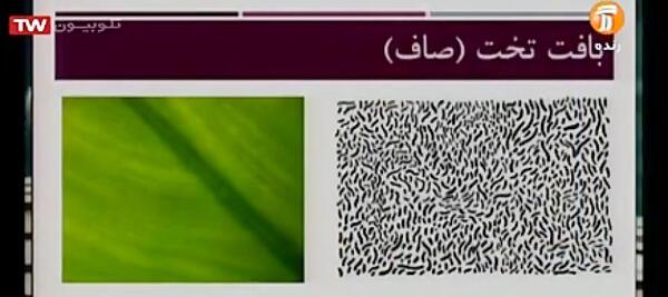 عکس بافت فرهنگ و هنر هشتم