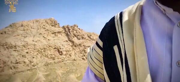 عکس لوگوی چوقا
