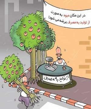 عکس طنز شب یلدا