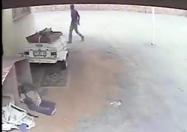 عکس خطر حمله سگ نگهبان