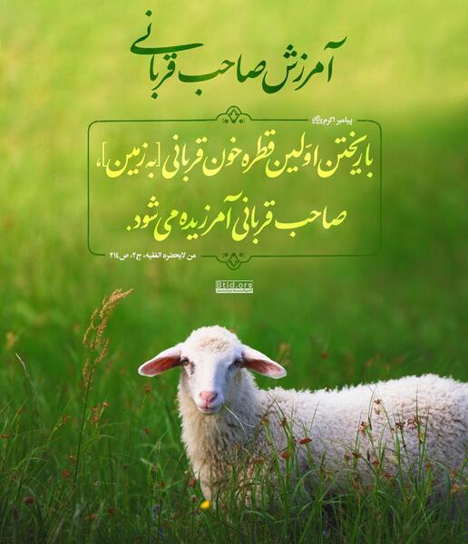 عکسهای حدیث قربانی