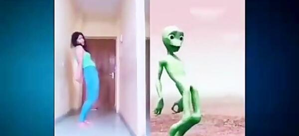 عکس و فیلم مارمولک