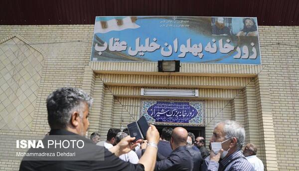 عکس عقاب مرده