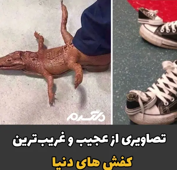 عکس کفش های عجیب و غریب