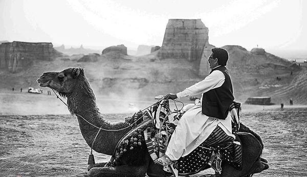 عکس شتر در کویر