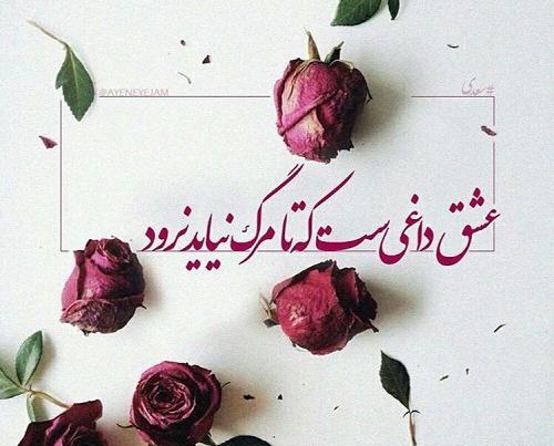 عکس نوشته کاش زودتر بمیرم