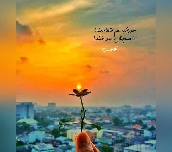 عکس نوشته برای پروفایل واتساپ جدید