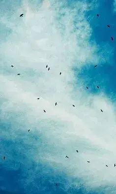 عکس پروفایل رنگی خاص
