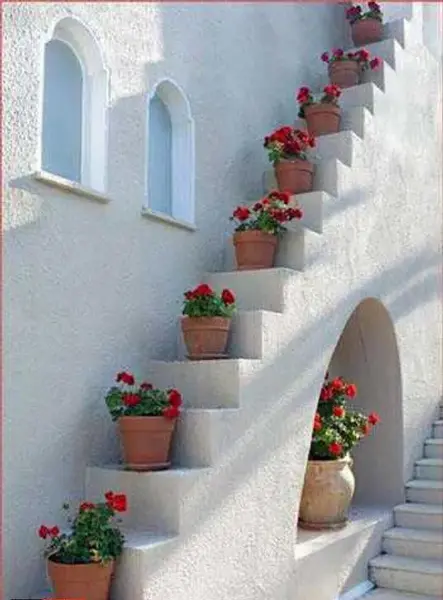 عکس ساده منظره