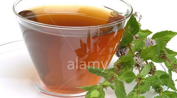 عکس نعنا محلی