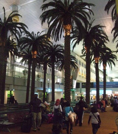 عکس چمدان فرودگاه