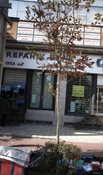 عکس سید مهران ابطحی