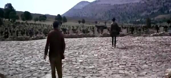 عکس نوشته تو با بال پروانه من چه کردی