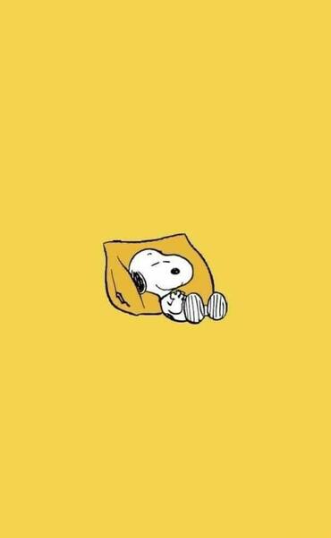 عکس صفحه زرد