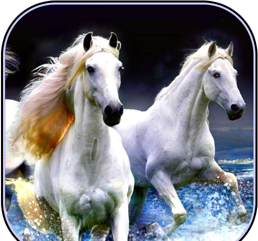 عکس تصویر زمینه گوشی اسب