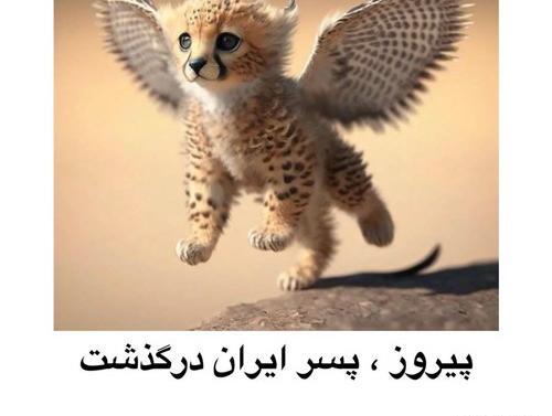 عکس یوز پلنگ خفن برای پروفایل
