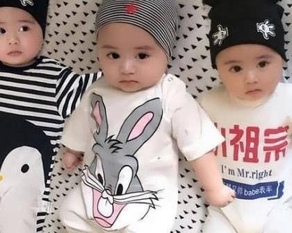 عکس گربه ناز و بامزه
