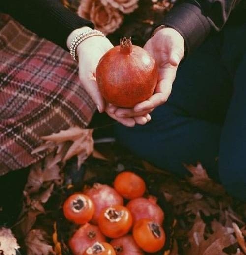 عکس یلدا دونفره