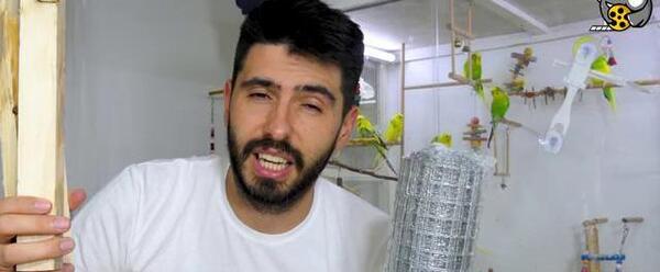 عکس مرغ عشق و قفس