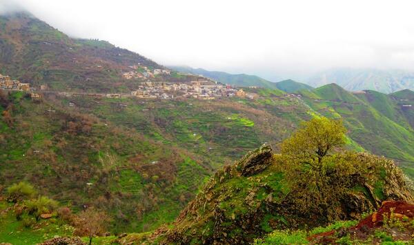 عکس طبیعت نوسود