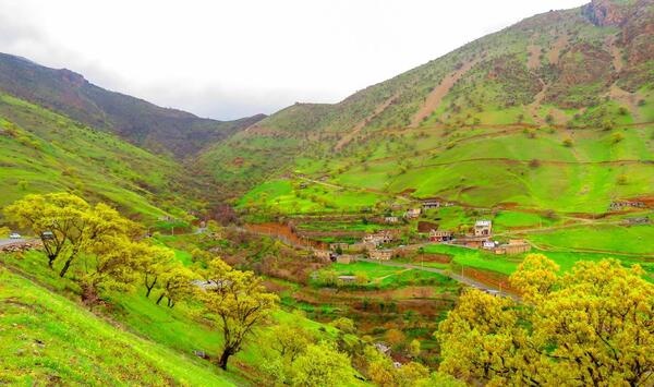 عکس طبیعت نوسود