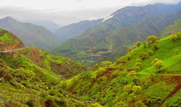عکس طبیعت نوسود