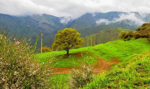 عکس طبیعت نوسود