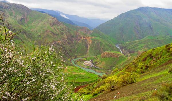 عکس طبیعت نوسود