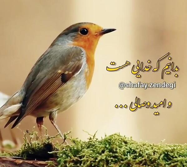عکس خدایا امیدم به توست