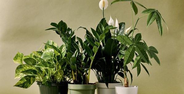 عکس شال و روسری برای لوگو