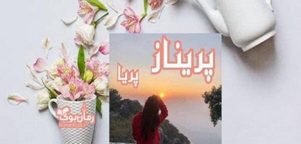 عکس رمان پریناز