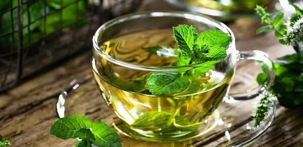 عکس دکتر سارا چیذری