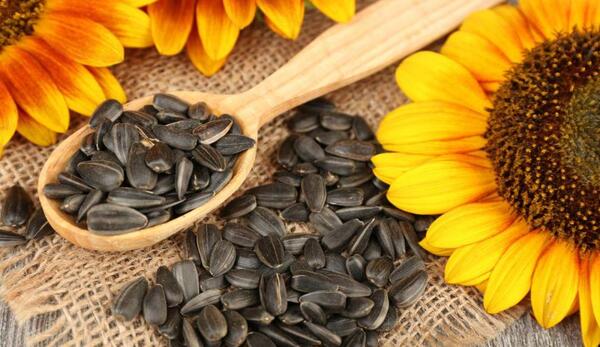 عکس دکتر سارا چیذری
