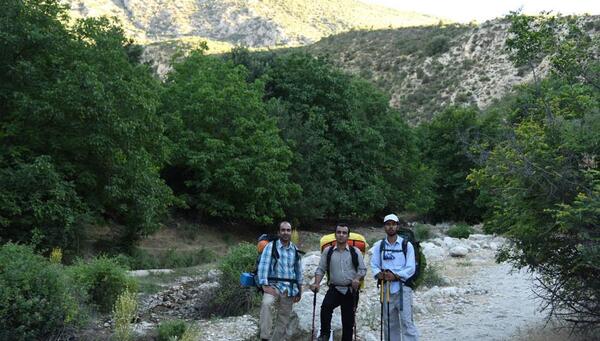 عکس عنکبوت در طبیعت