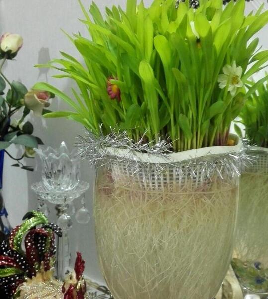 عکس ژله سبزه
