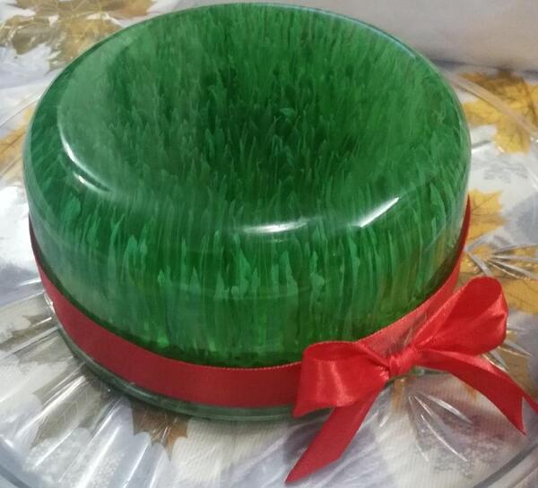 عکس ژله سبزه