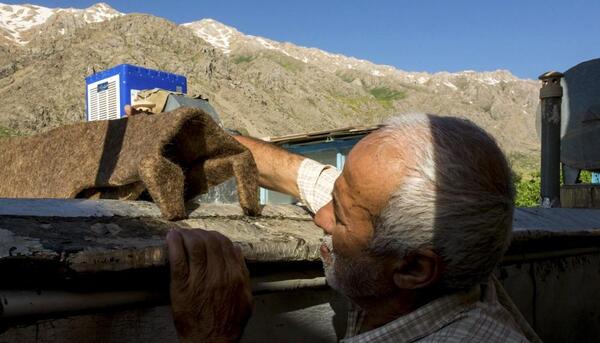 عکس شیوا محمدی