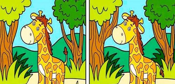 عکس ثنا برزنجه با نوید زردی