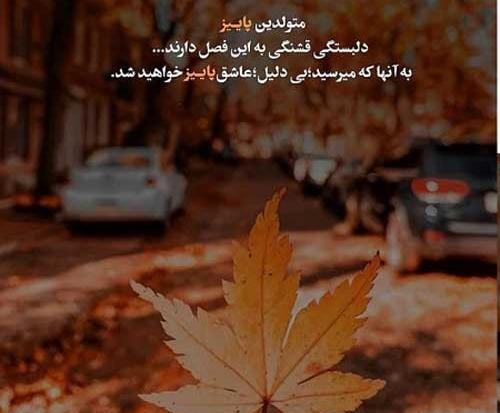عکس استوری پسر پاییزی