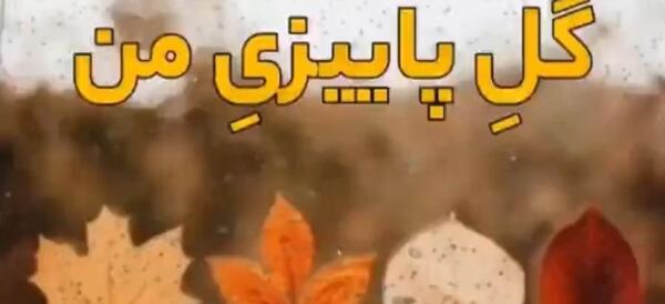 عکس استوری پسر پاییزی