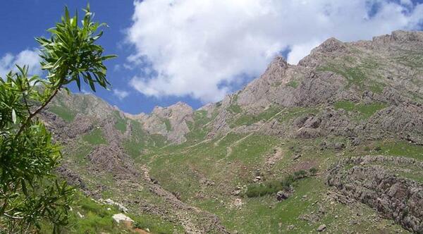 عکس کامیاران
