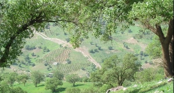 عکس کامیاران