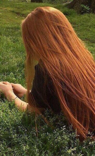 عکس آرش ساغری
