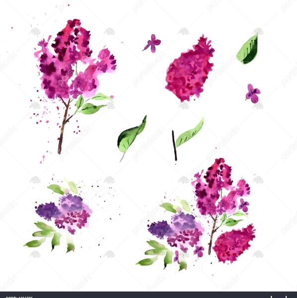 عکس نقاشی گل یاس