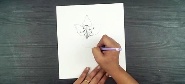 عکس نقاشی گل یاس