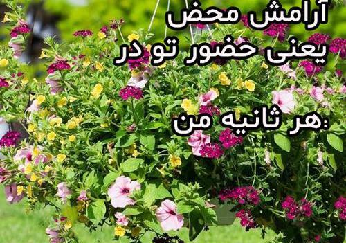 عکس نوشته نیاز به آرامش