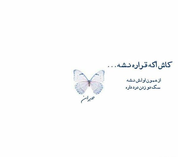 عکس پروفایل کاش خوشبختی هم مثل مرگ سهم همه بود