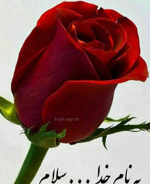 عکس نوشته شده به نام خدا
